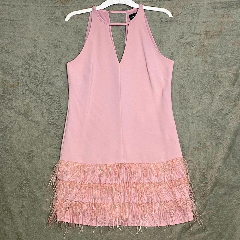 Sam Edelman Pink Feather Hem Dress